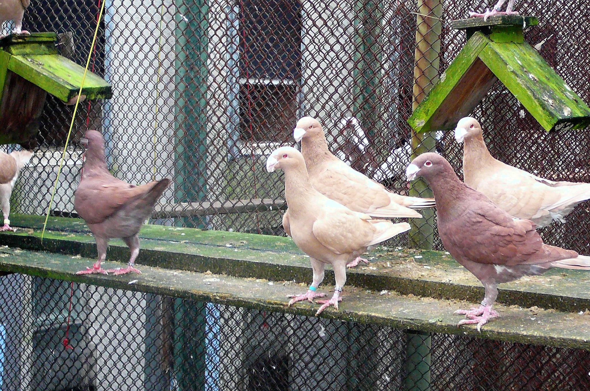 P1060951